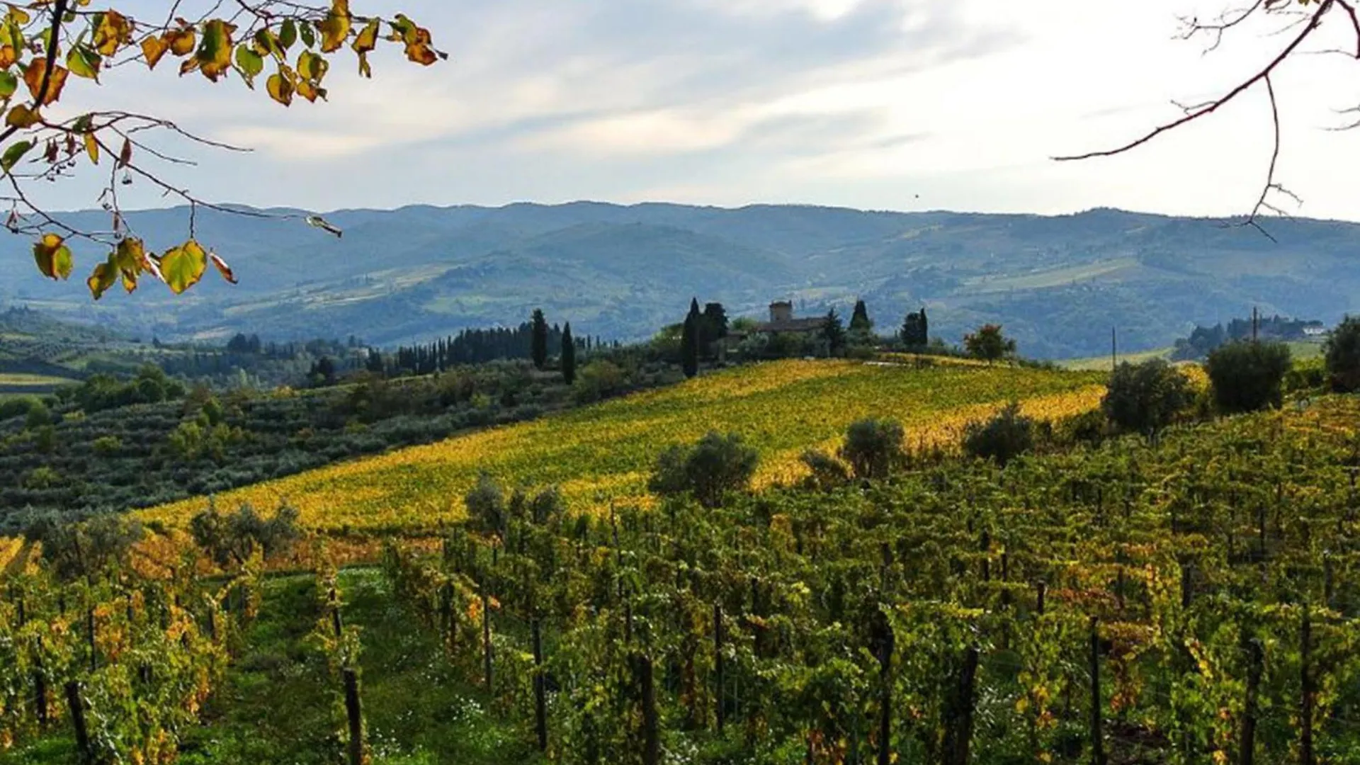 Holiday Home Casa Di Palaia By Interhome Greve in Chianti